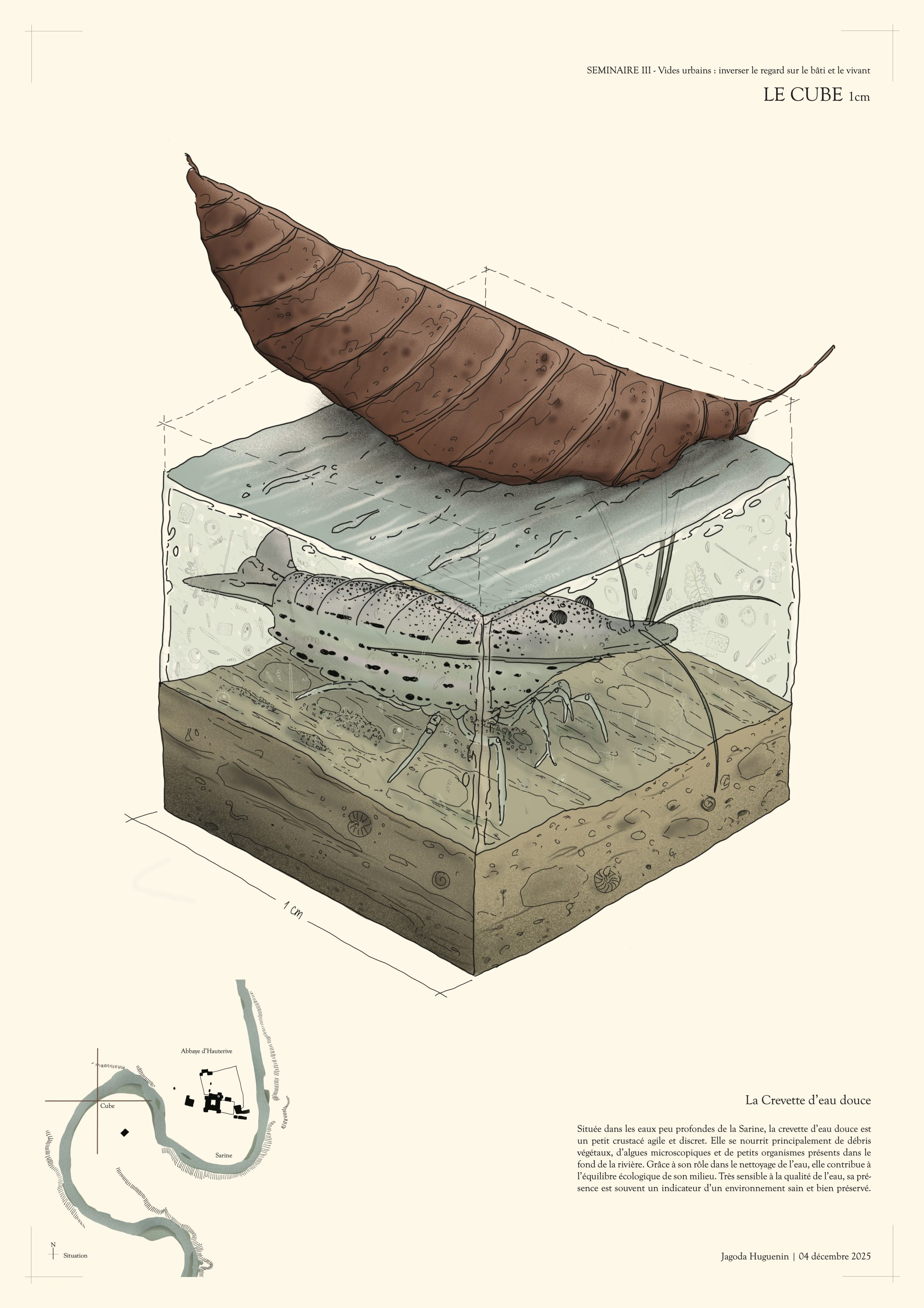 Dibujar tras la Muerte de la Naturaleza
