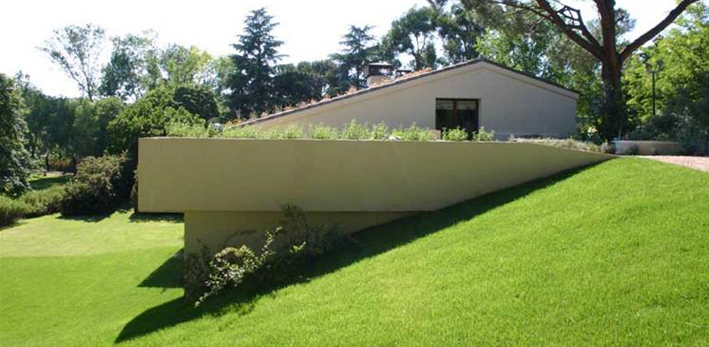 Mirlo